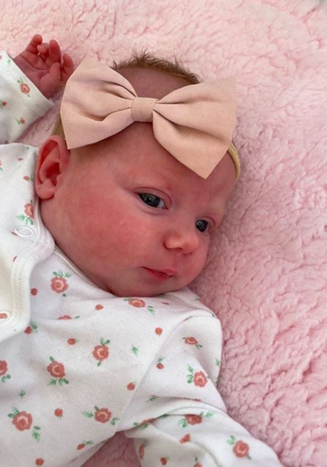 Special Occasion 3 Pack Bows - Pink