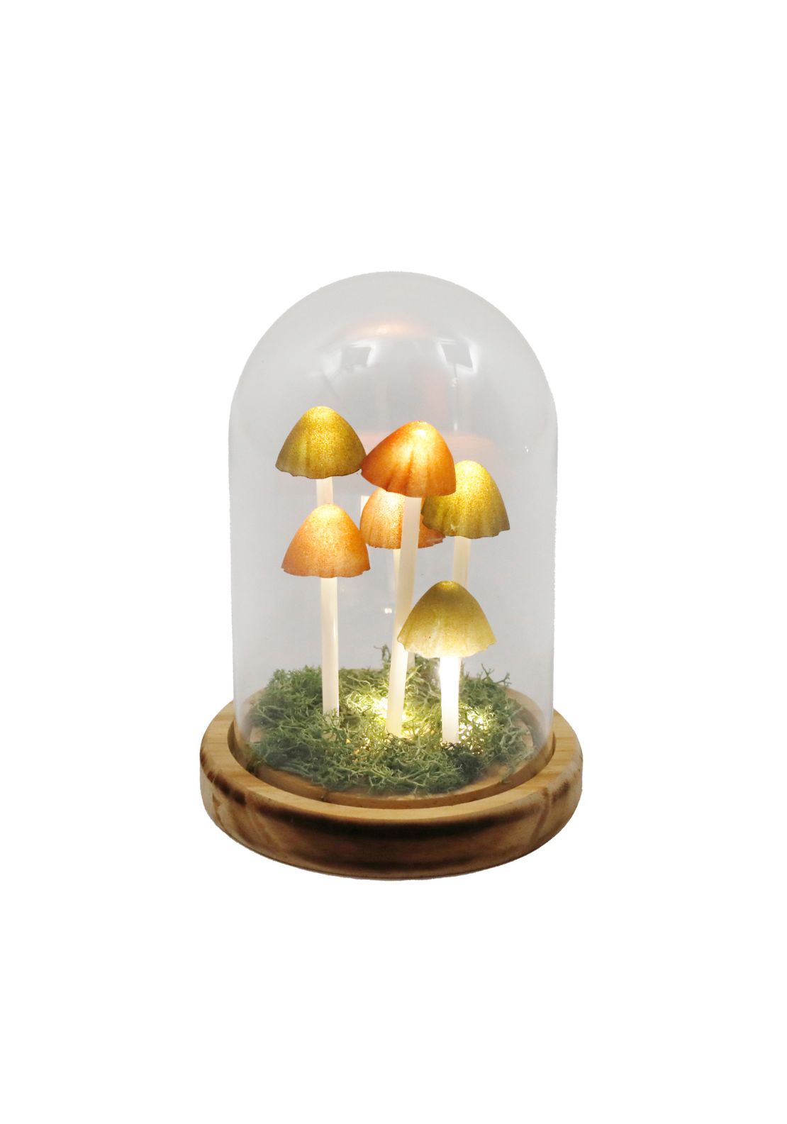 The Home Collection LED Mushroom Glass Globe 1 Shaws Department Stores