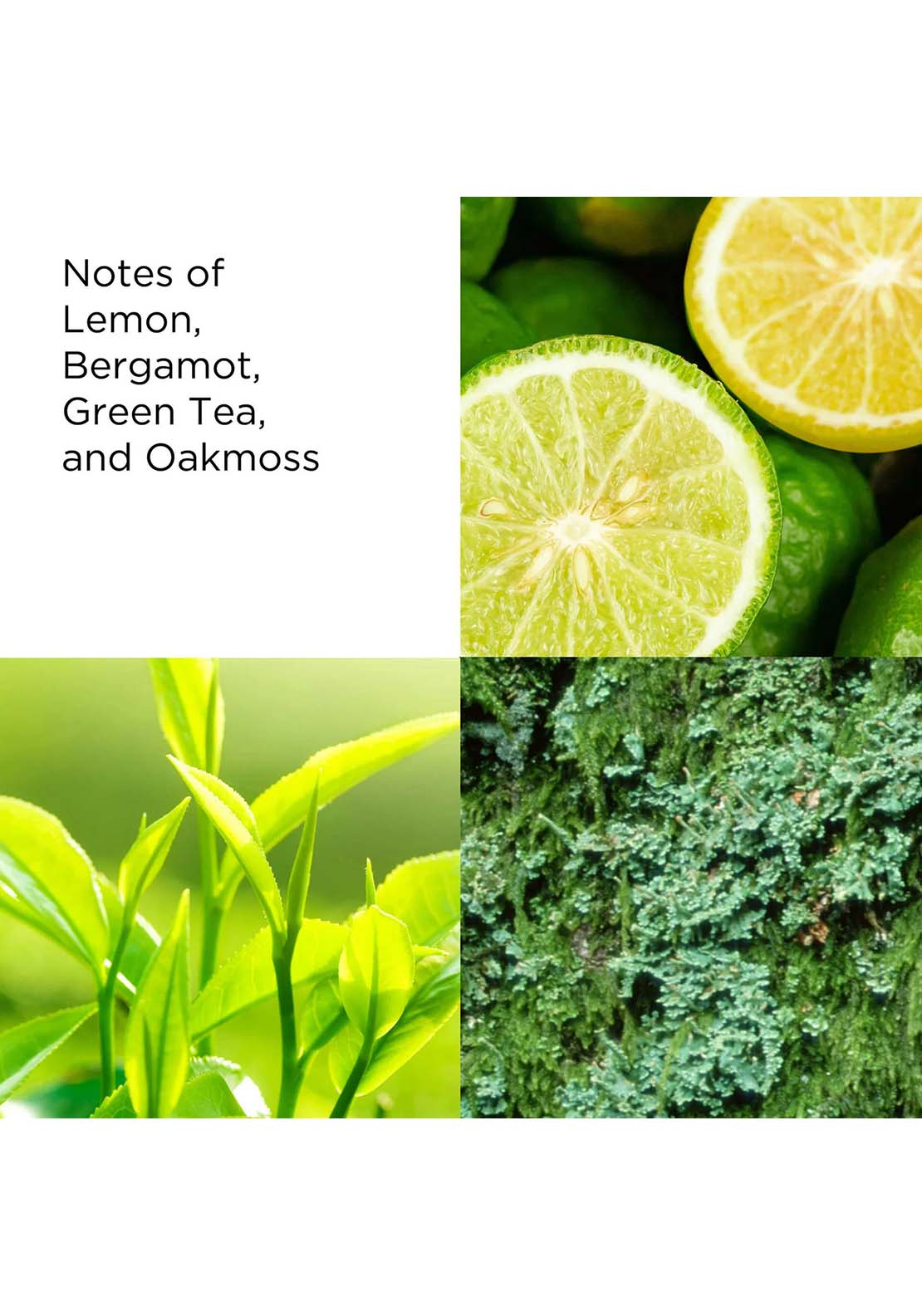 Elizabeth Arden Green Tea Energizing Bath & Shower Gel 2 Shaws Department Stores