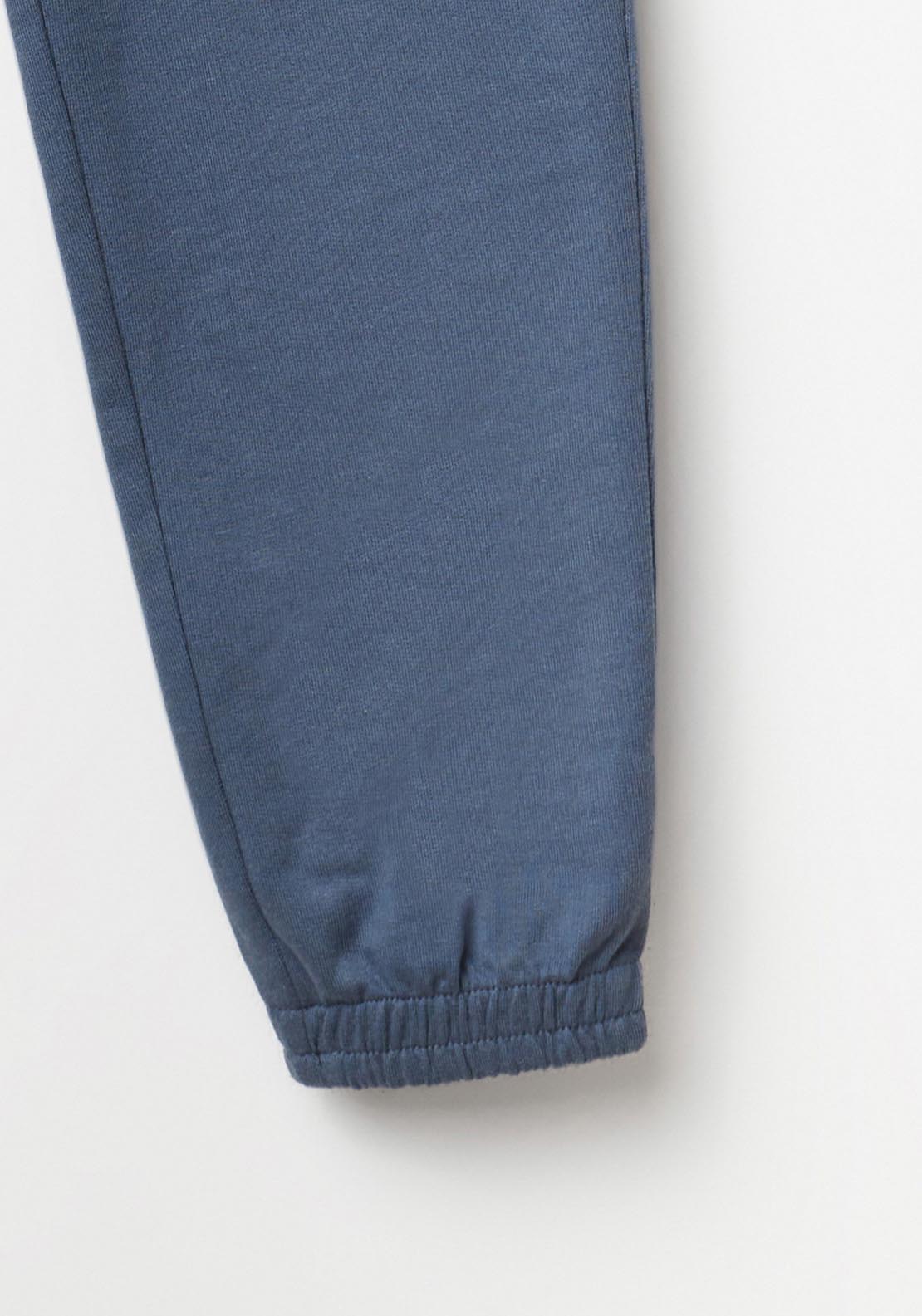 Basic Terry Plush Joggers - Blue