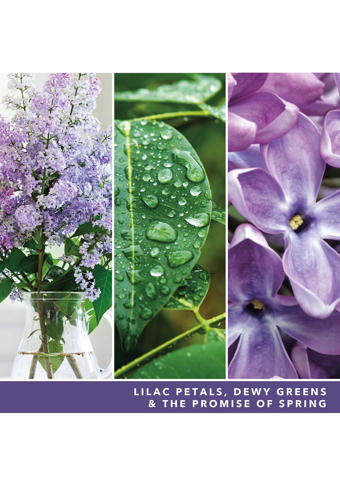 Yankee Candle Yankee Large Tumbler Lilac Blossoms 4 Shaws Department Stores