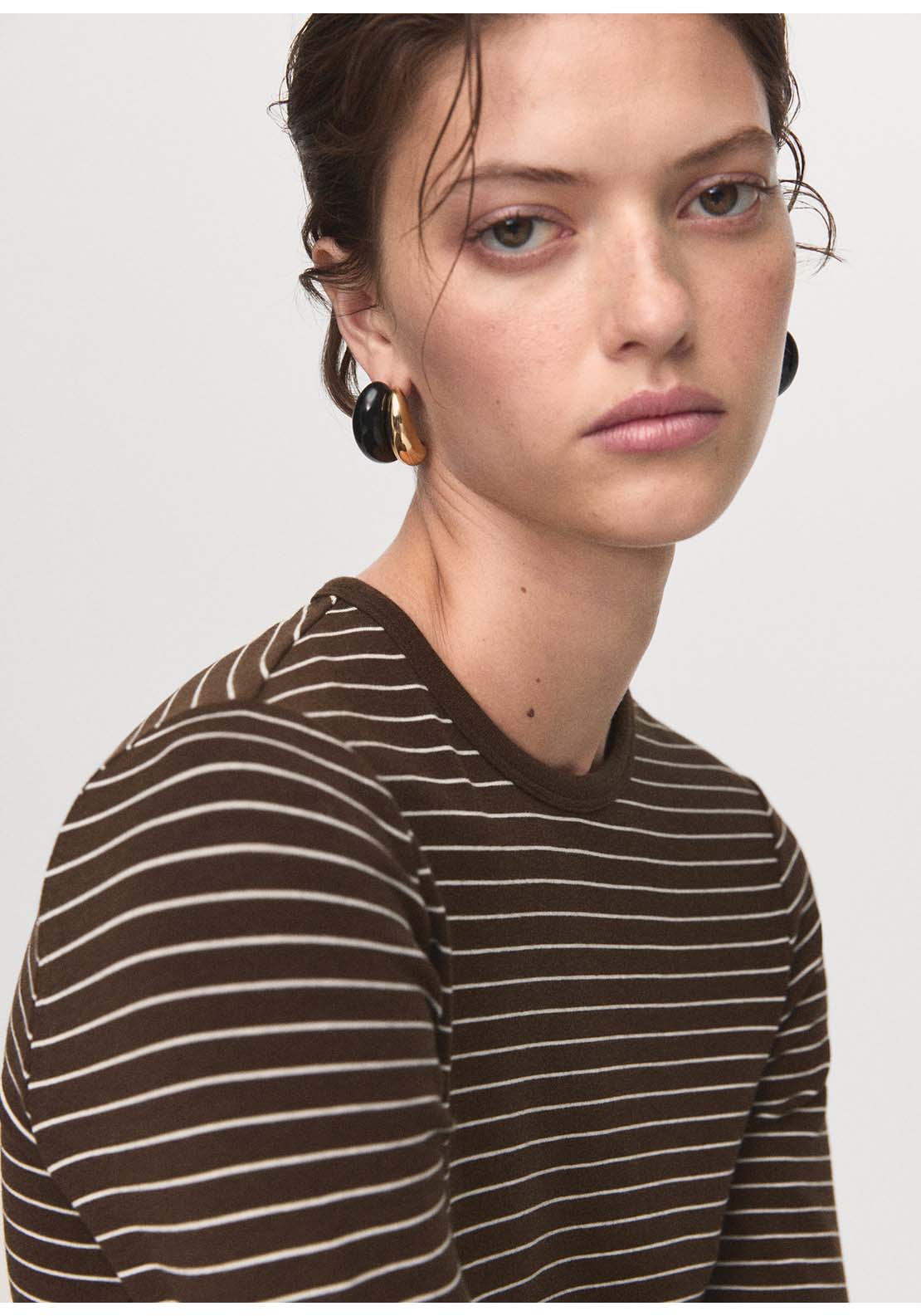 Long Sleeved Striped T-Shirt - Brown