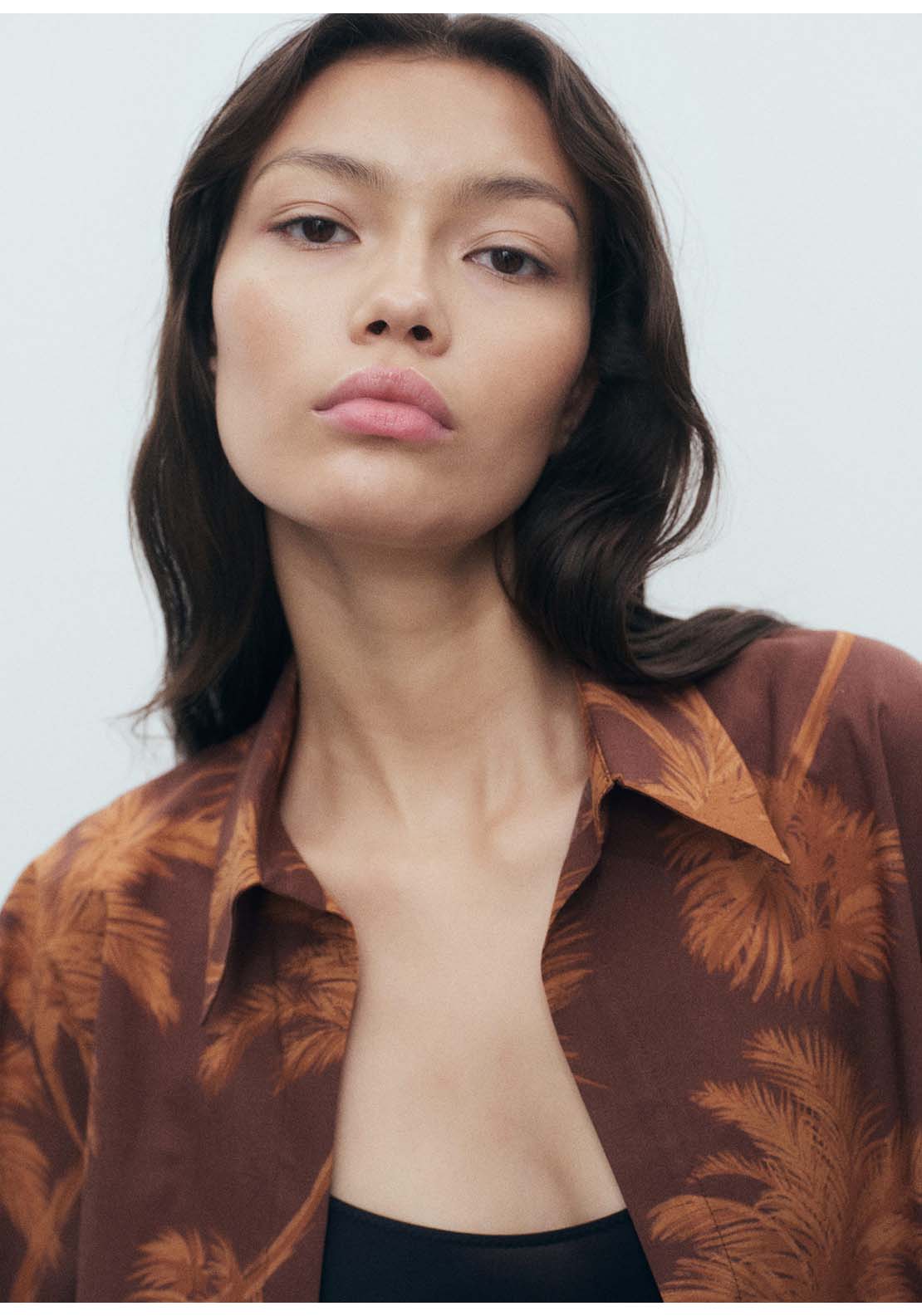 Palm Tree Print Cotton Shirt - Brown