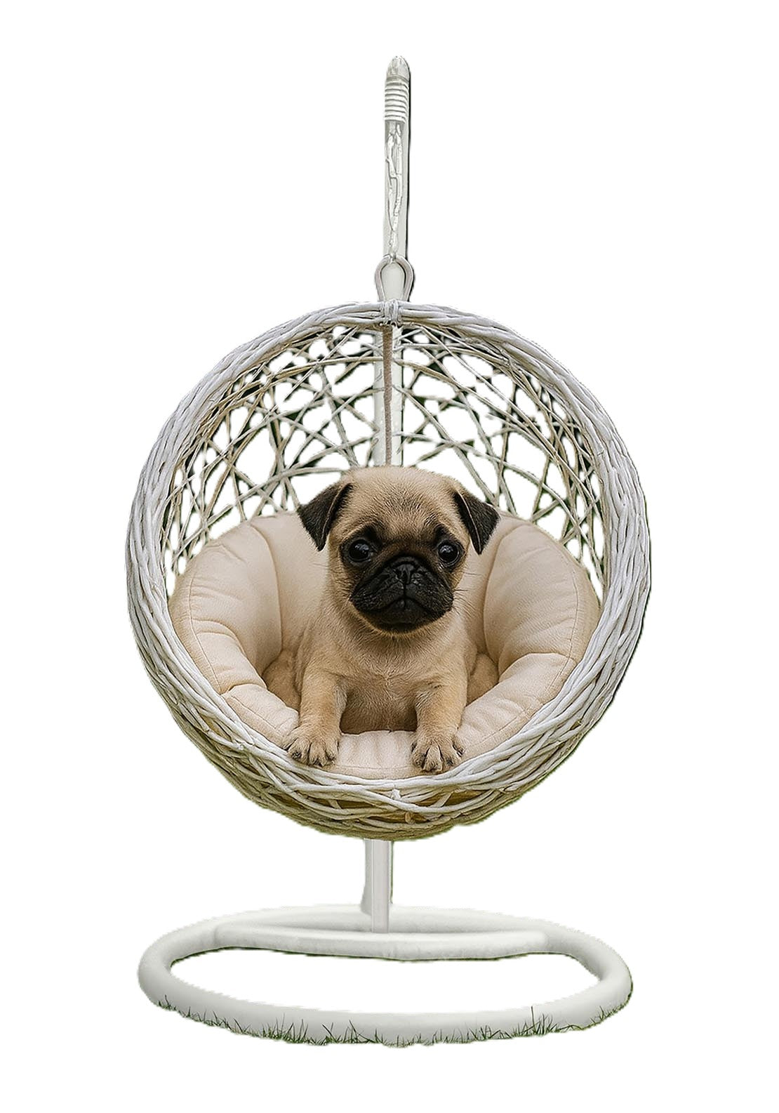 The Home Collection Rattan Cocoon Pet Swing Chair - White 3 Shaws Department Stores