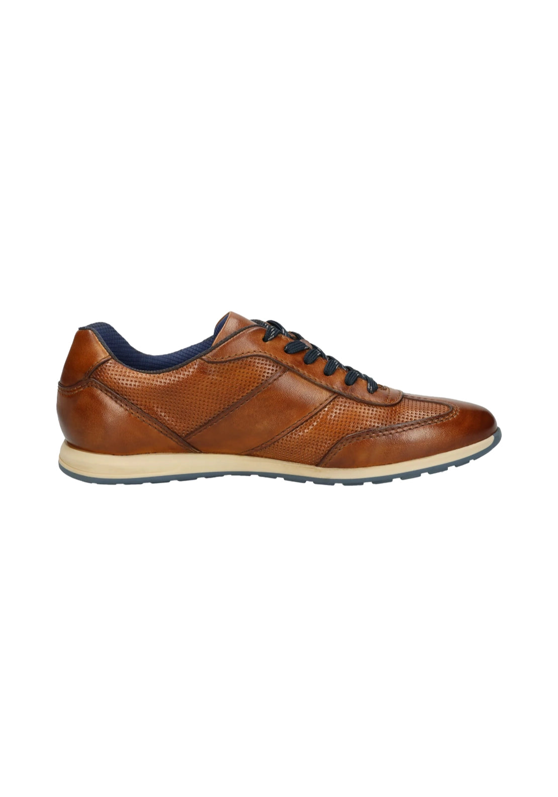 Thorello Sneaker - Brown