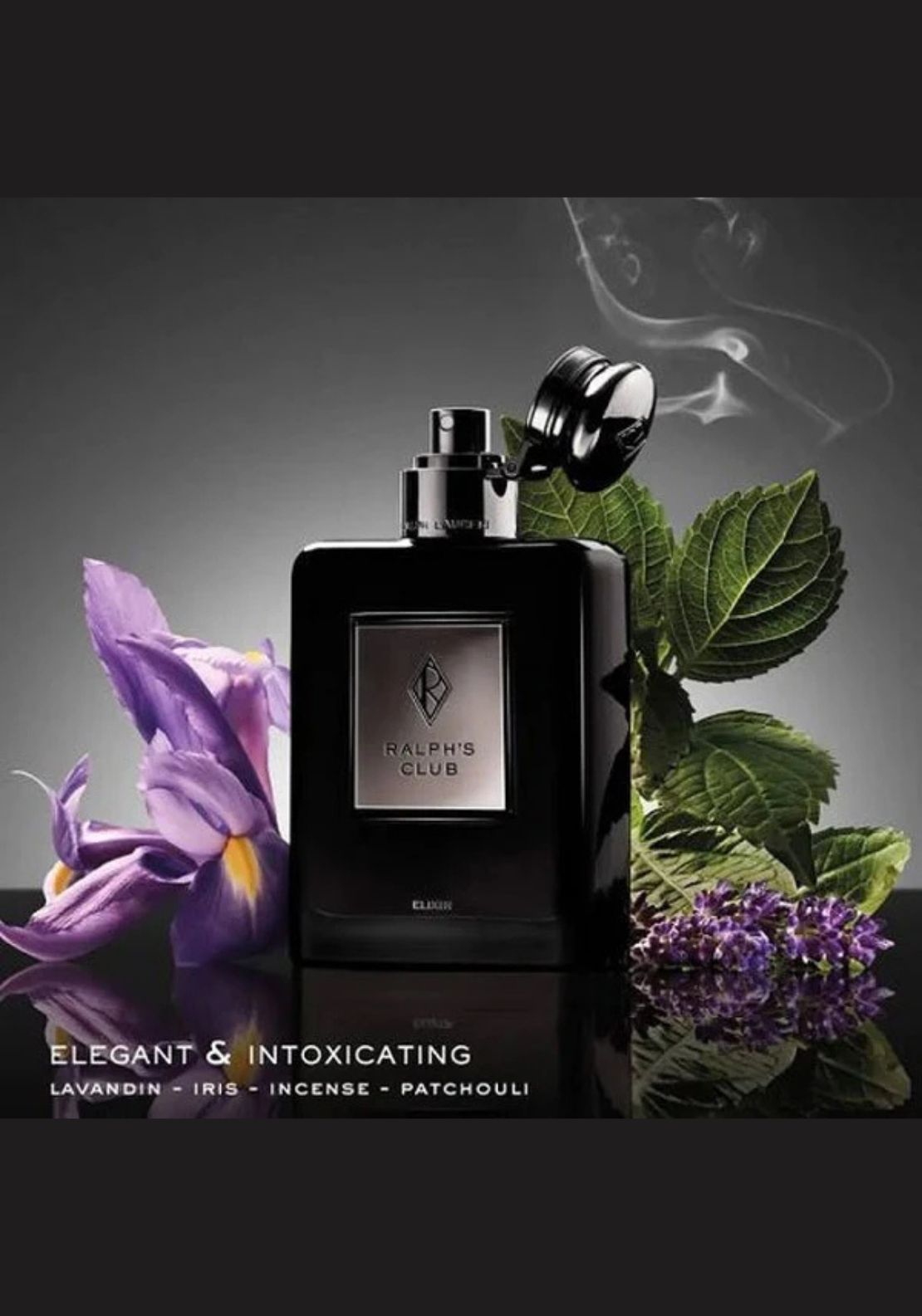 Ralph Lauren Club Elixir 3 Shaws Department Stores