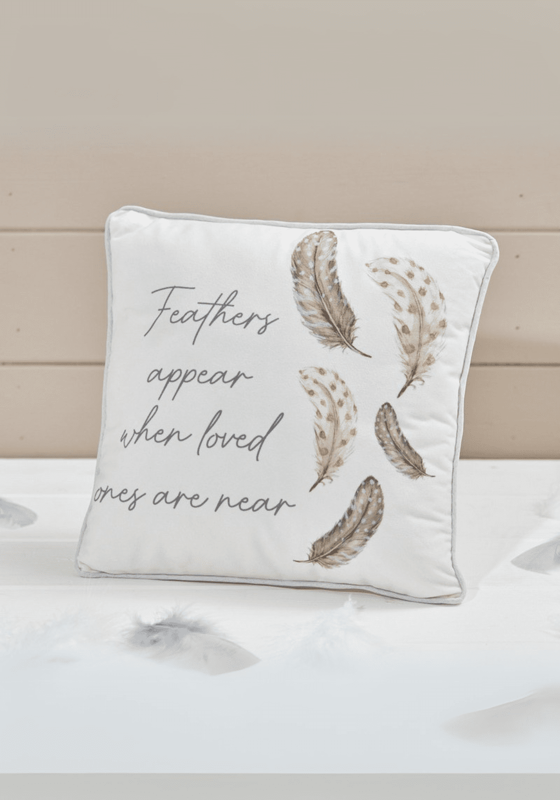 The Home Collection Grey Feather Memory Cushion - Velour Quote Pillow 1 Shaws Department Stores