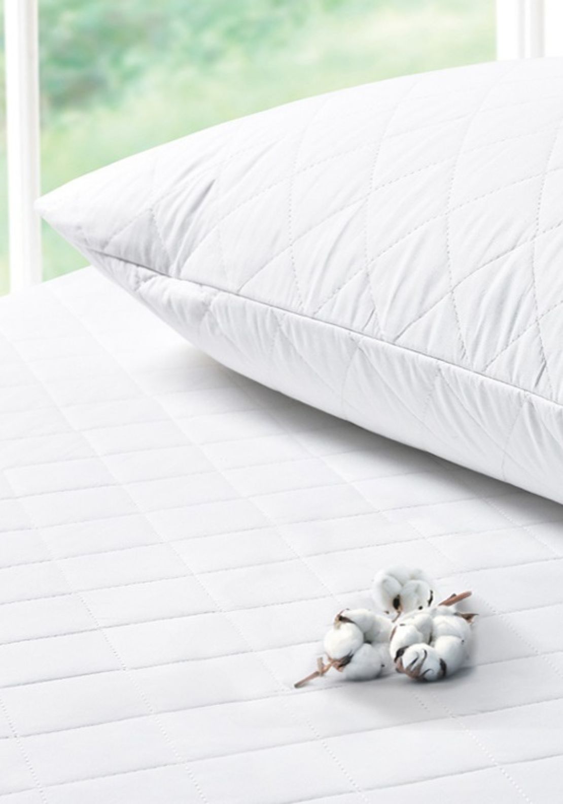 The Home Collection All Cotton Pillow Protector - White 2 Shaws Department Stores