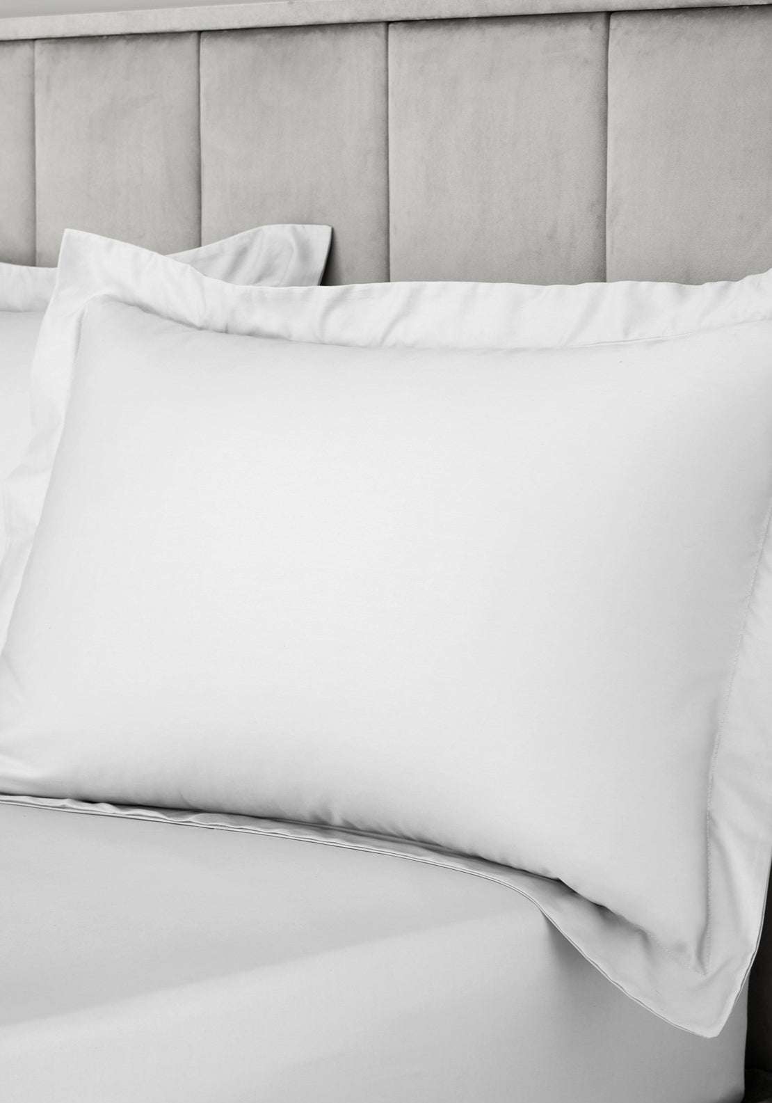 Bianca 100% Cotton Sateen 400 TC Oxford Pillowcases - Pair 2 Shaws Department Stores