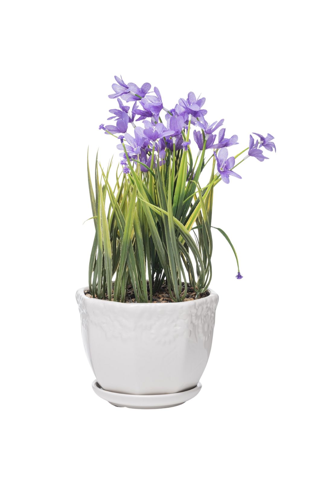 The Grange Collection Artifical Flowers Ceramic Pot - Purple 1 Shaws Department Stores