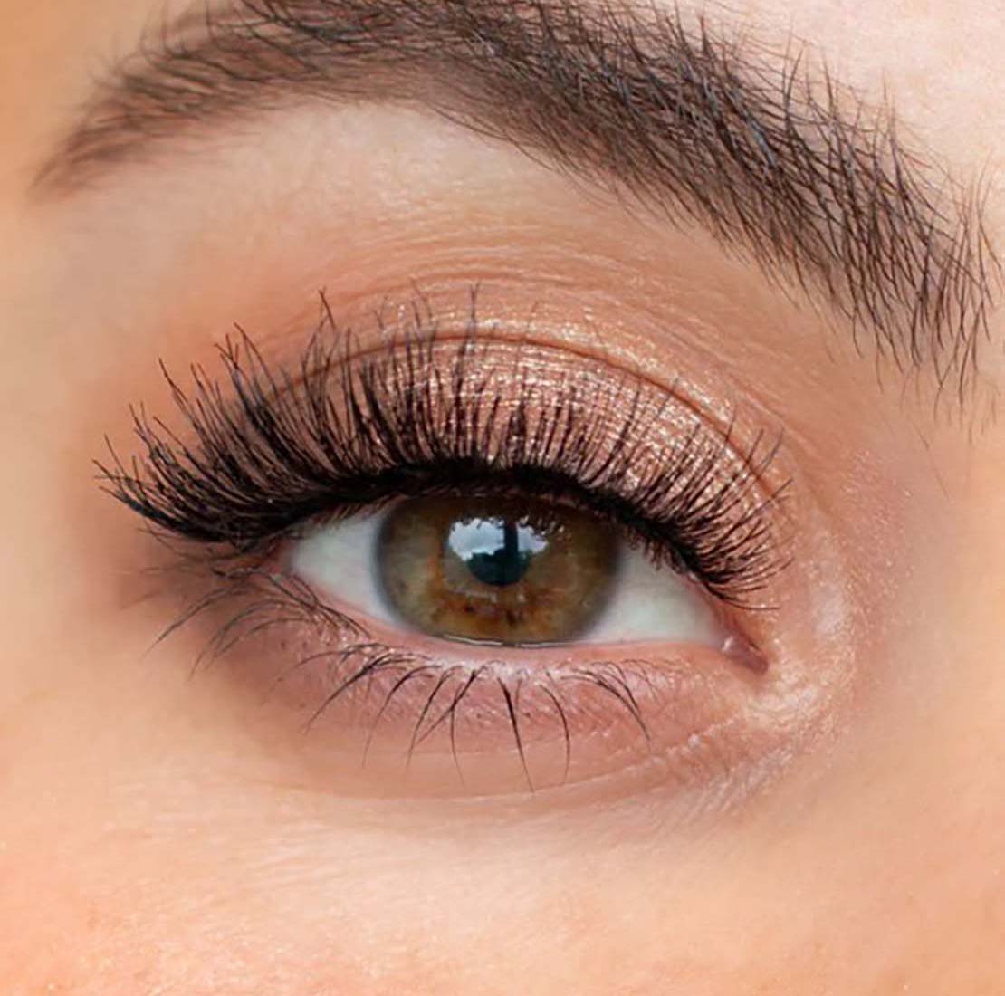 Luna By Lisa Freddy Lashes 2 Shaws Department Stores