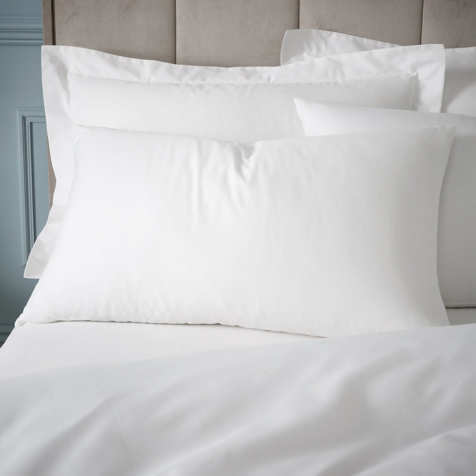 Bianca 180 Thread Count 100% Egyptian Cotton Standard Pillowcase Pair 1 Shaws Department Stores