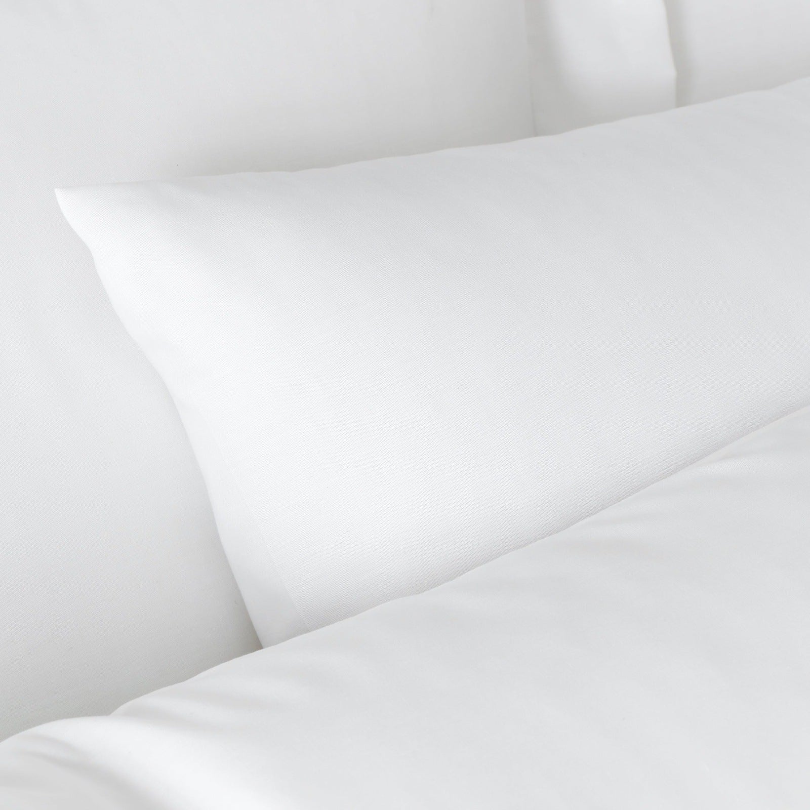 Bianca 180 Thread Count 100% Egyptian Cotton Standard Pillowcase Pair 2 Shaws Department Stores