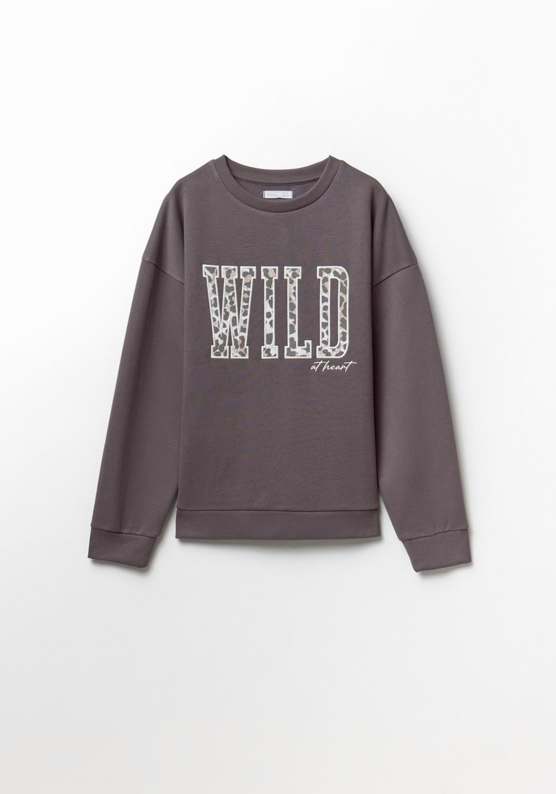 Printed Sweatshirt - Grey