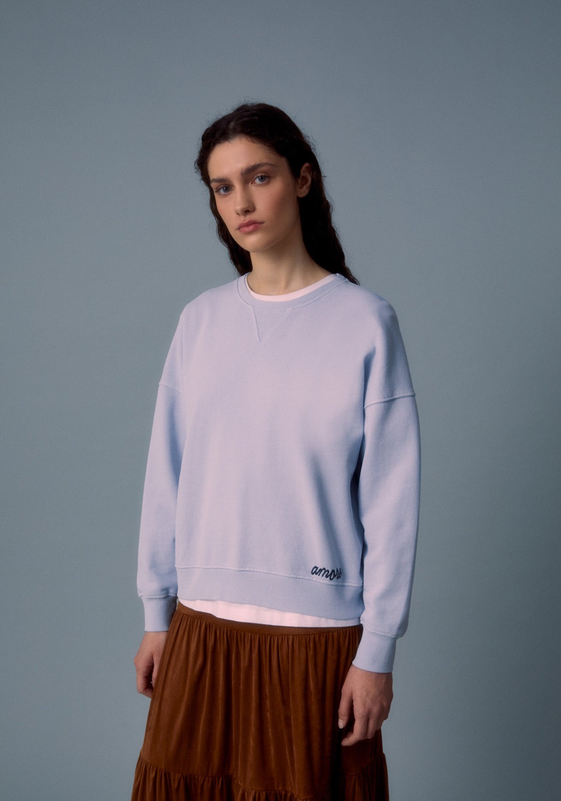 Faded Embroidered Sweatshirt - Blue