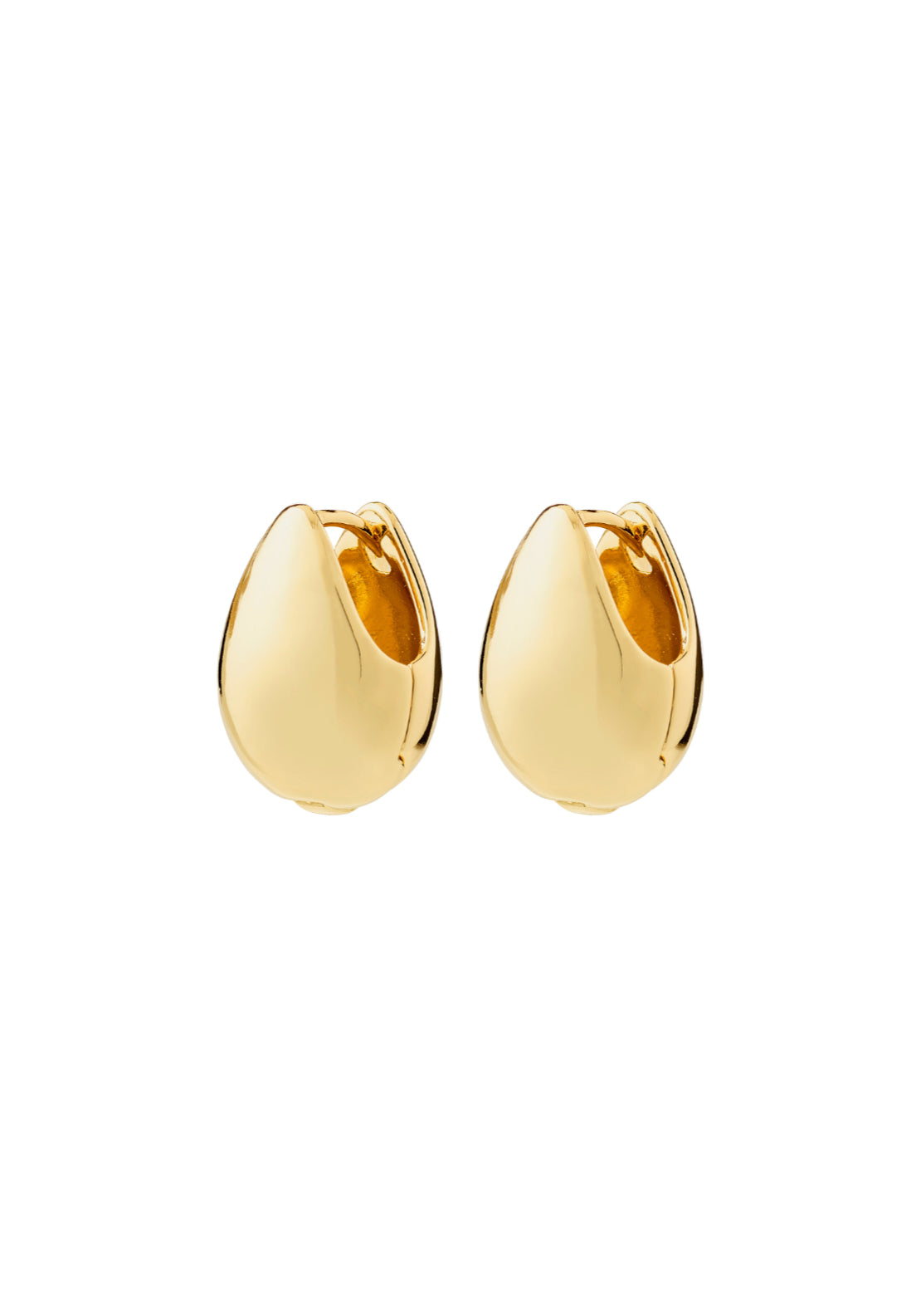 Kaisyn Gold Plated Drop Earrings - Gold