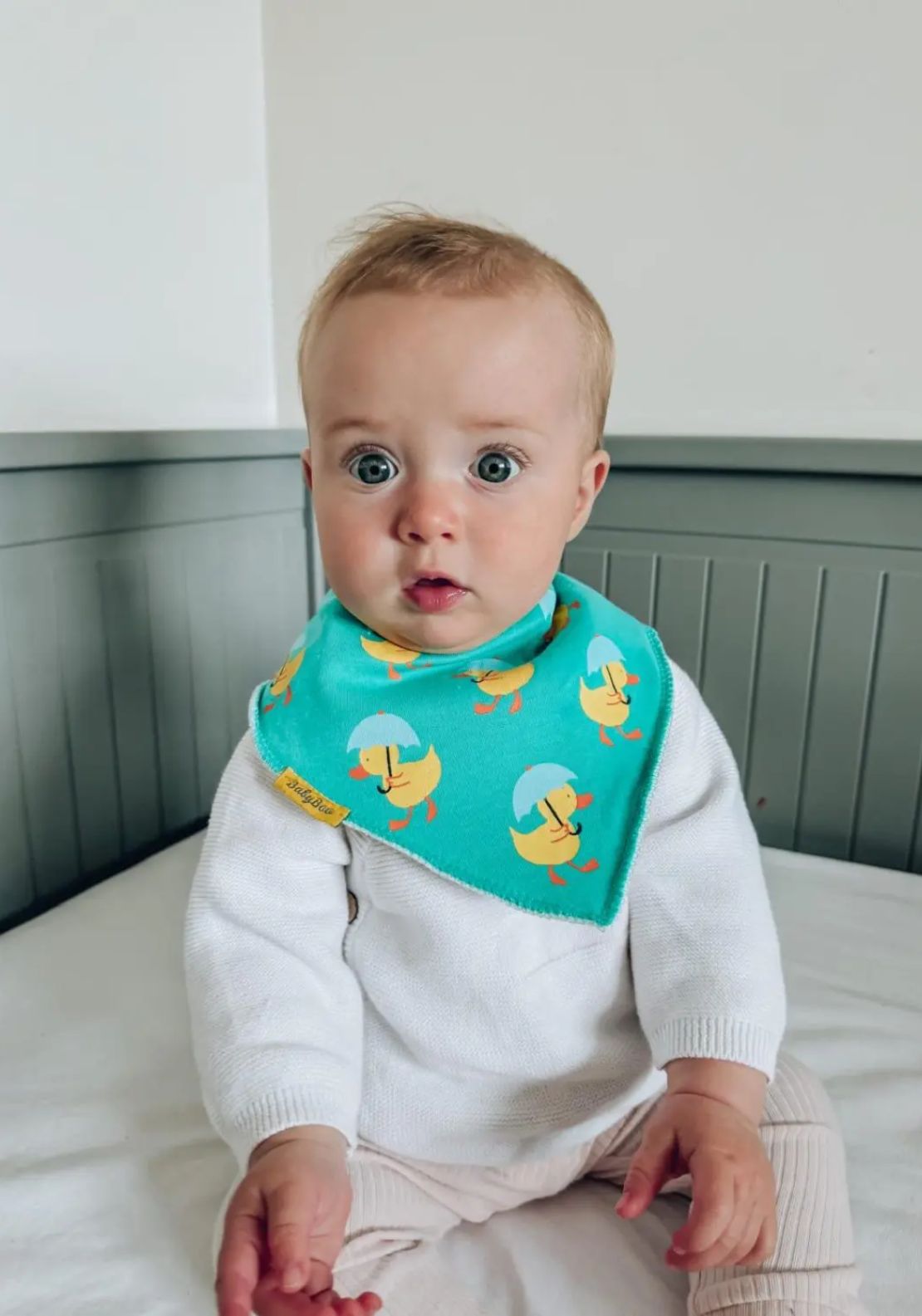 Weather For Ducks Organic Cotton DribbleBoo Bandana Bib