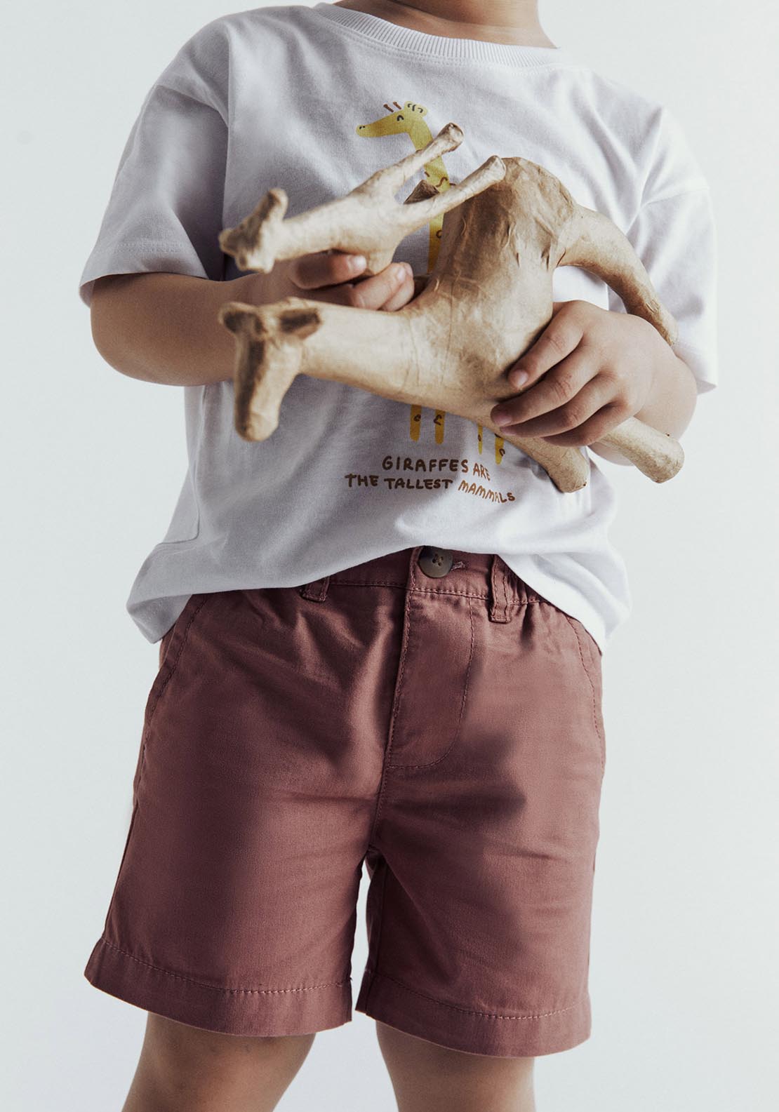 Sfera Chino Bermuda Shorts - Wine 5 Shaws Department Stores