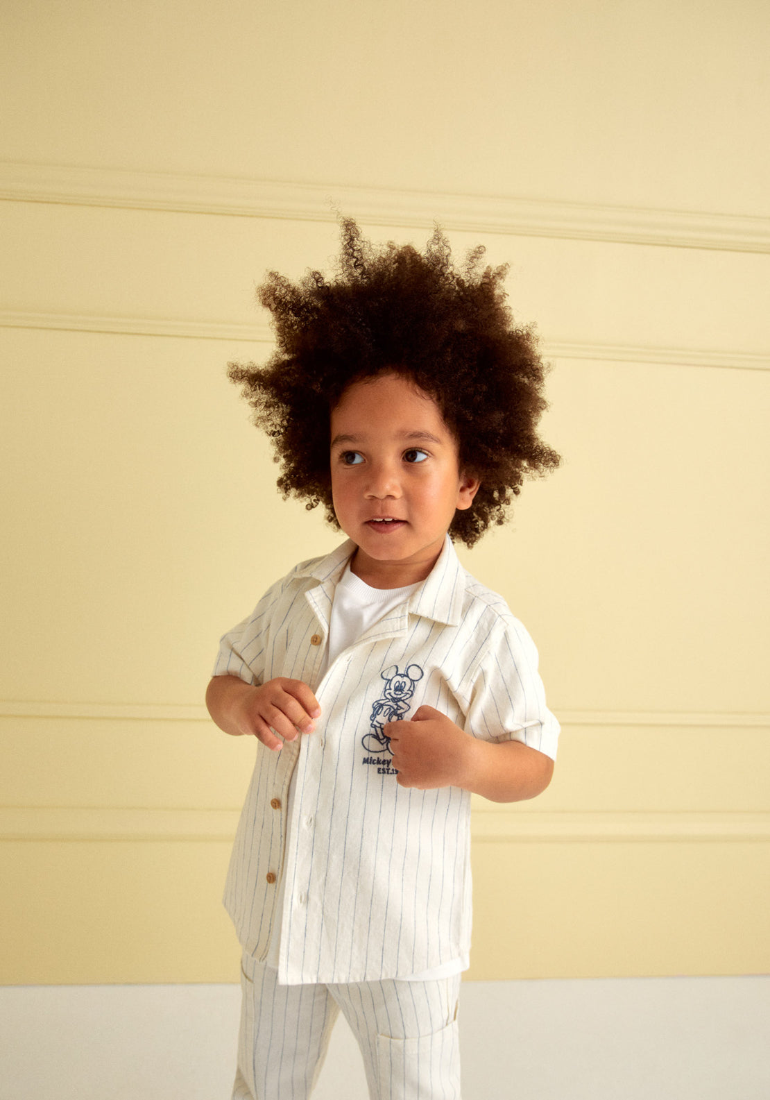 Embroidered Striped Shirt - White