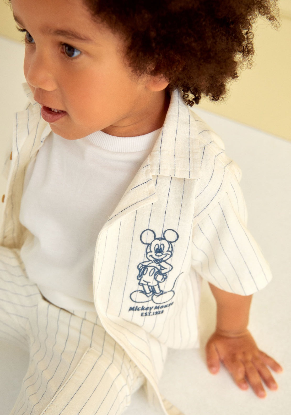 Embroidered Striped Shirt - White