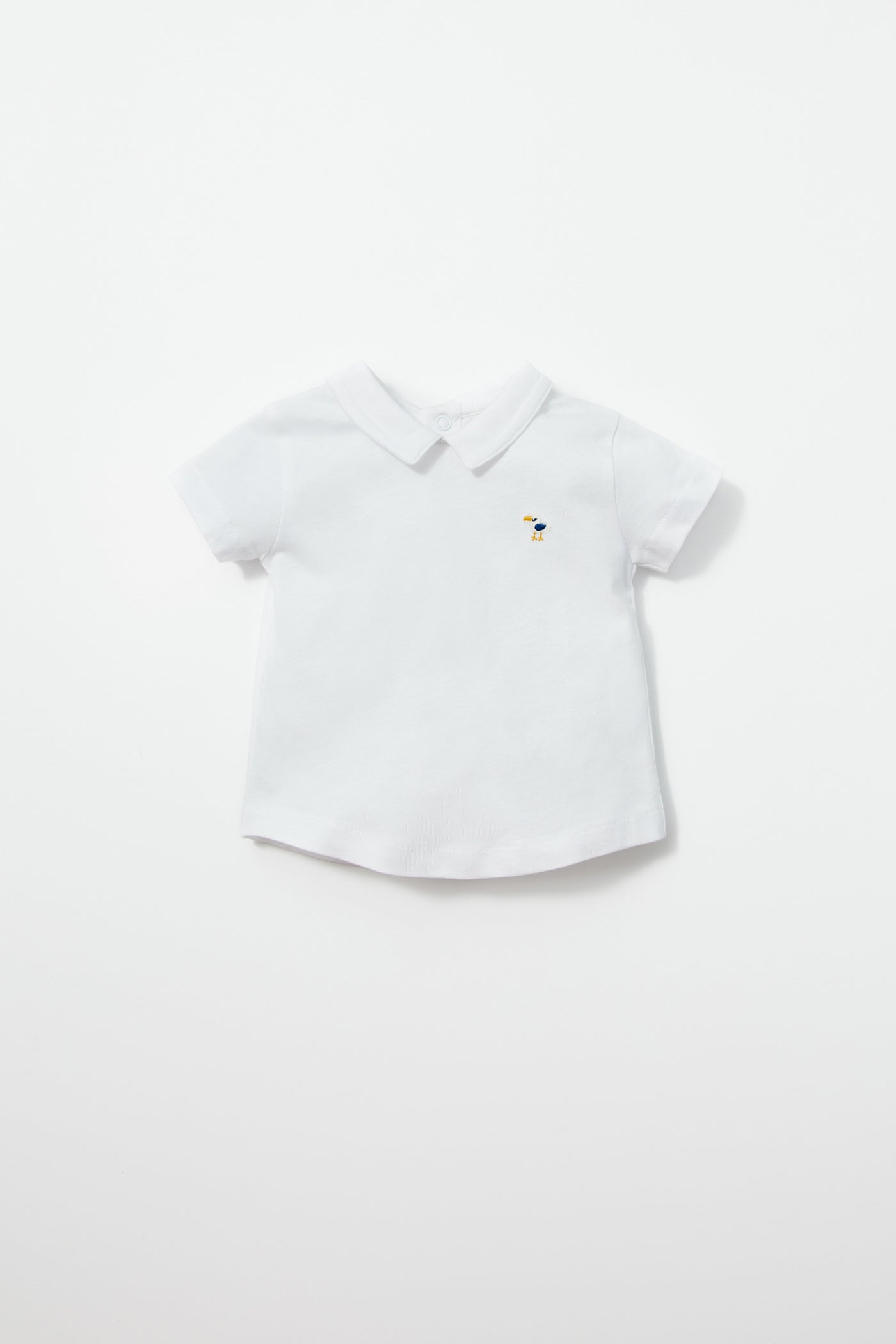 Sfera Polo-collar top - White 1 Shaws Department Stores