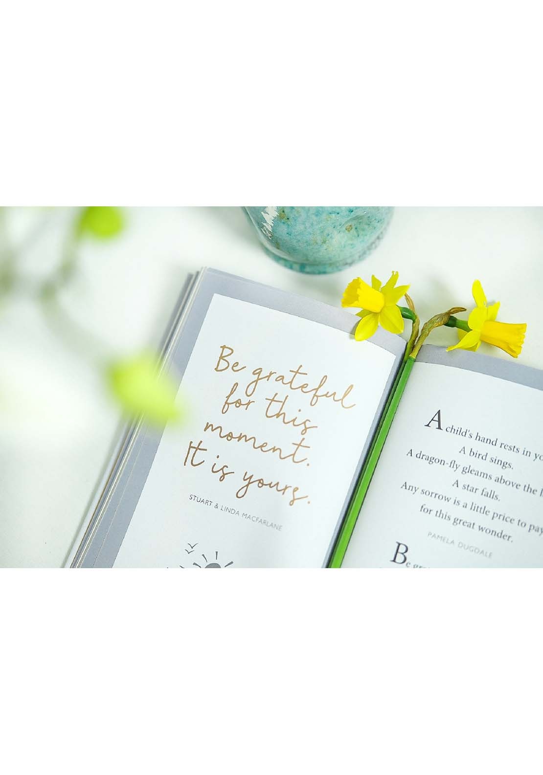 Allsorted Ltd The Little Book Of Gratitude 5 Shaws Department Stores
