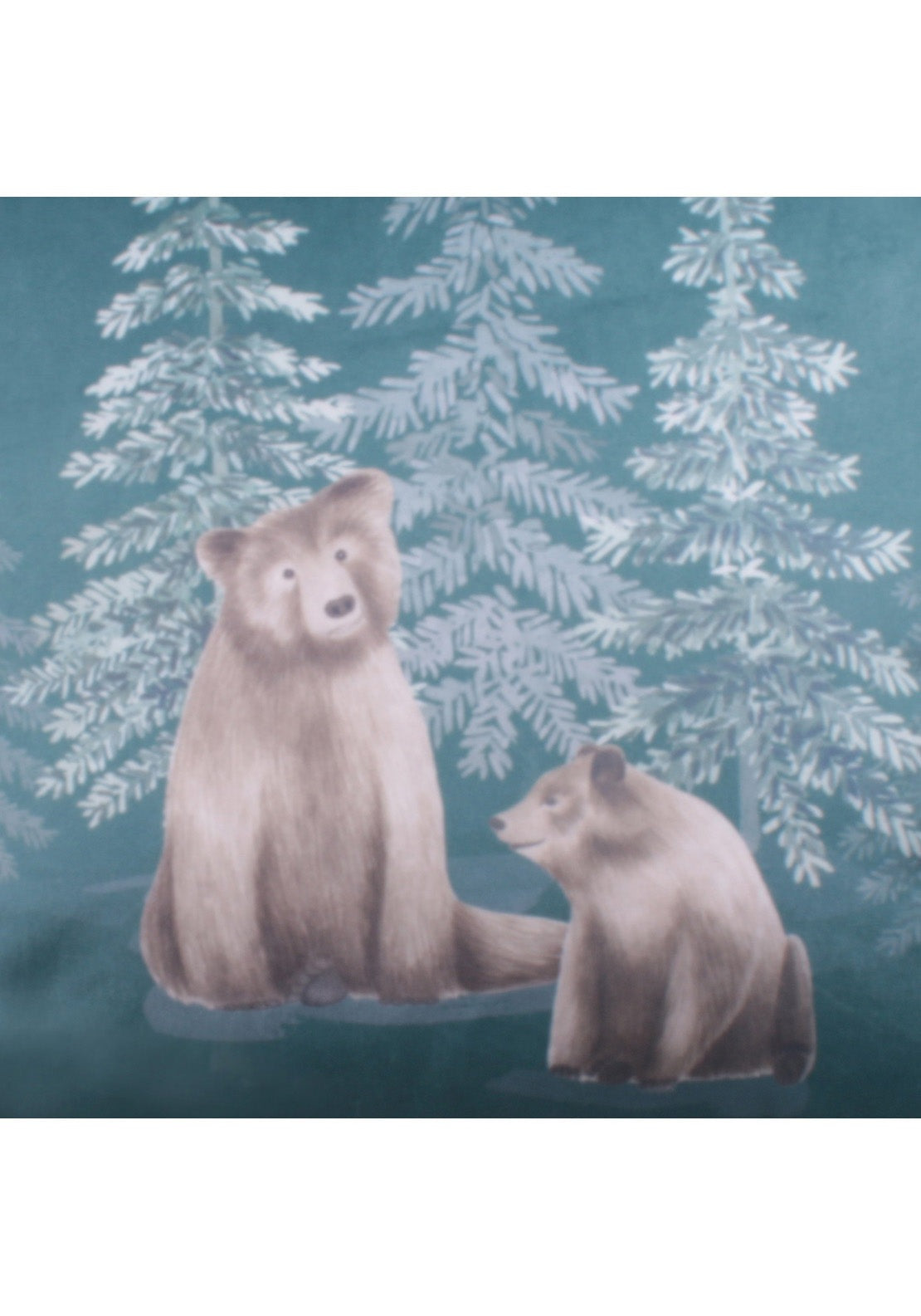 The Home Collection Soft Bear Cushion 43cm x 43cm - Green 4 Shaws Department Stores