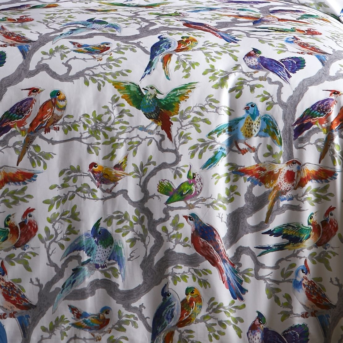 Laurence Llewelyn-bowen Birdity Absurdity Duvet Cover Set 3 Shaws Department Stores