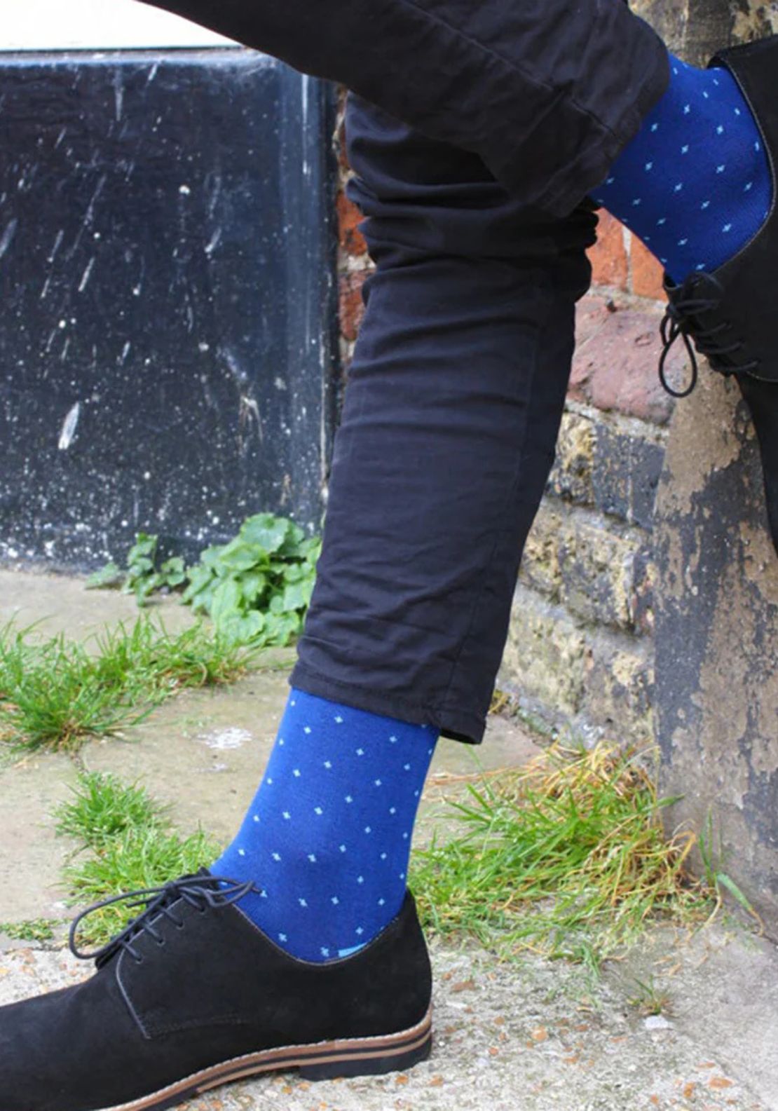 Swole Panda Spotted Socks - Blue 2 Shaws Department Stores