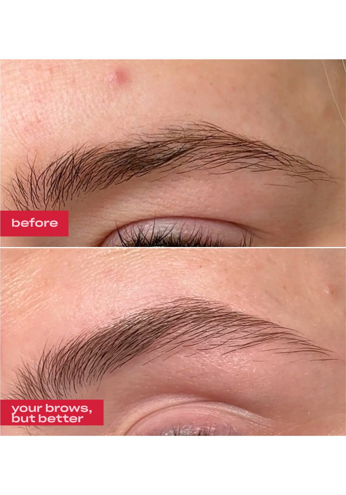 Groa Brow Enhancing Serum - Multi 4 Shaws Department Stores
