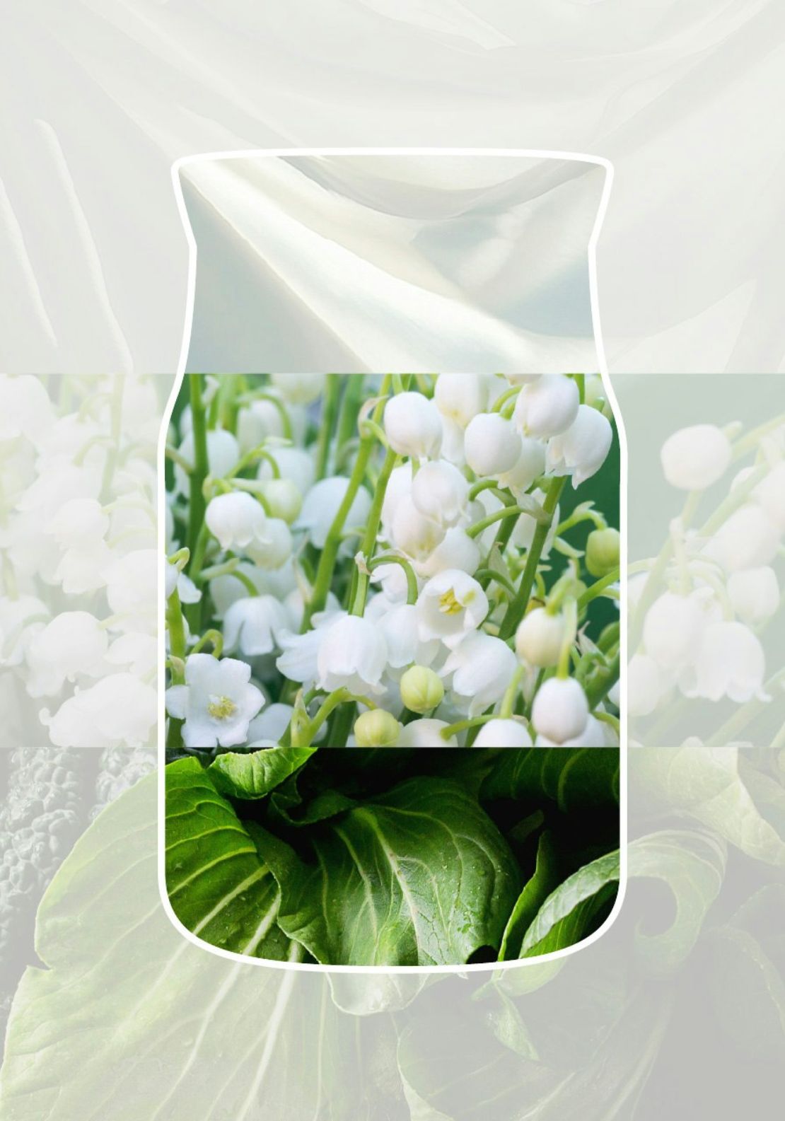 Large Jar Clean Cotton - White