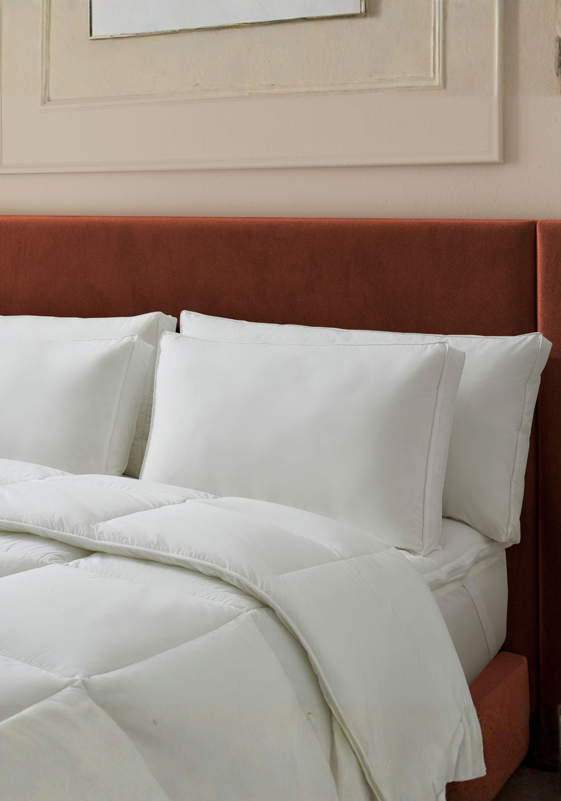 The Fine Bedding Company Smartdown Cotton Pillow - White 1 Shaws Department Stores