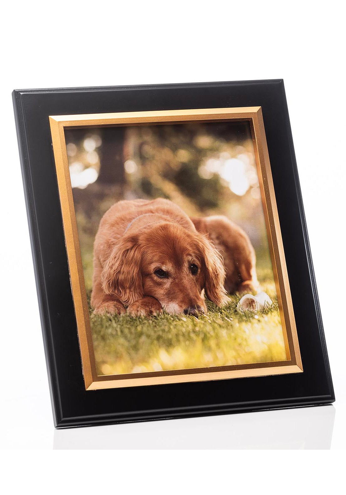 The Grange Collection Black with Gold Inner Photo Frame - Black 2 Shaws Department Stores