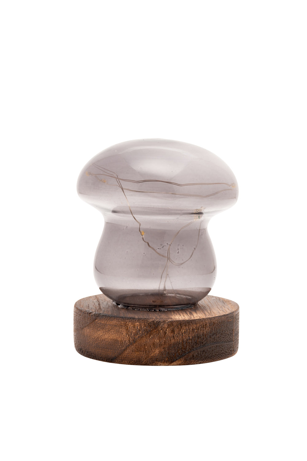 The Home Collection Grey Glass Mushroom with LED Lights - Small 2 Shaws Department Stores