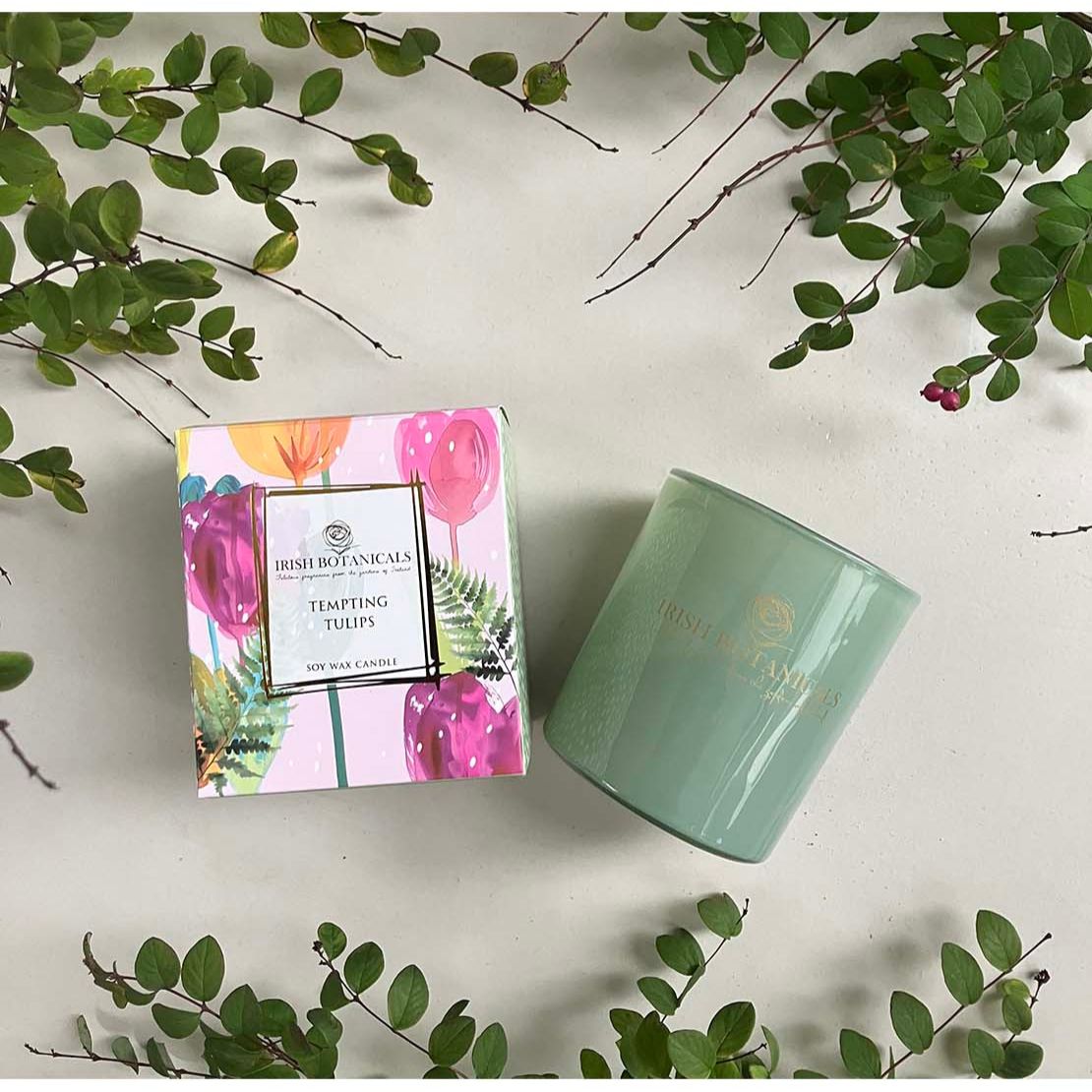 Irish Botanicals Tempting Tulips Candle 1 Shaws Department Stores