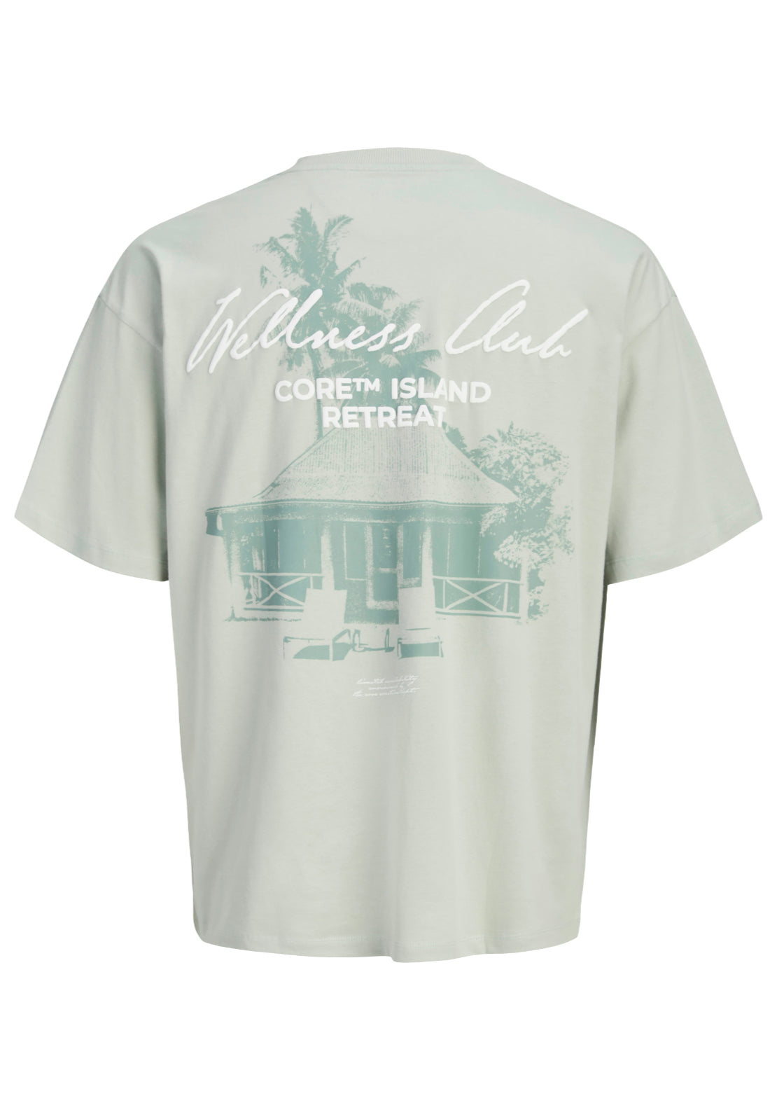 Jack & Jones Short Sleeve Script Back Print Tee - Aqua Gray 8 Shaws Department Stores