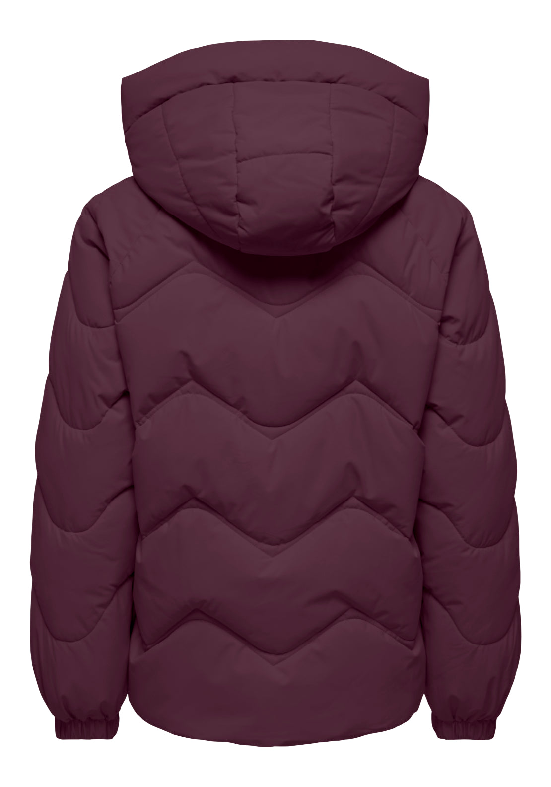 Jdy Power Short Hood Puffer Coat - Fig 2 Shaws Department Stores