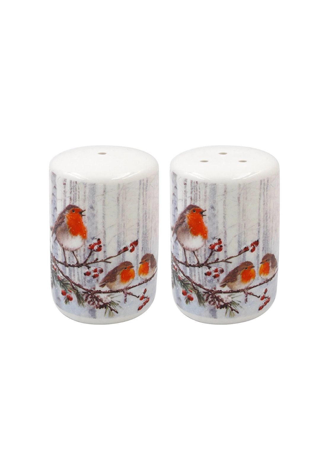Christmas Robins Salt & Pepper - Multi