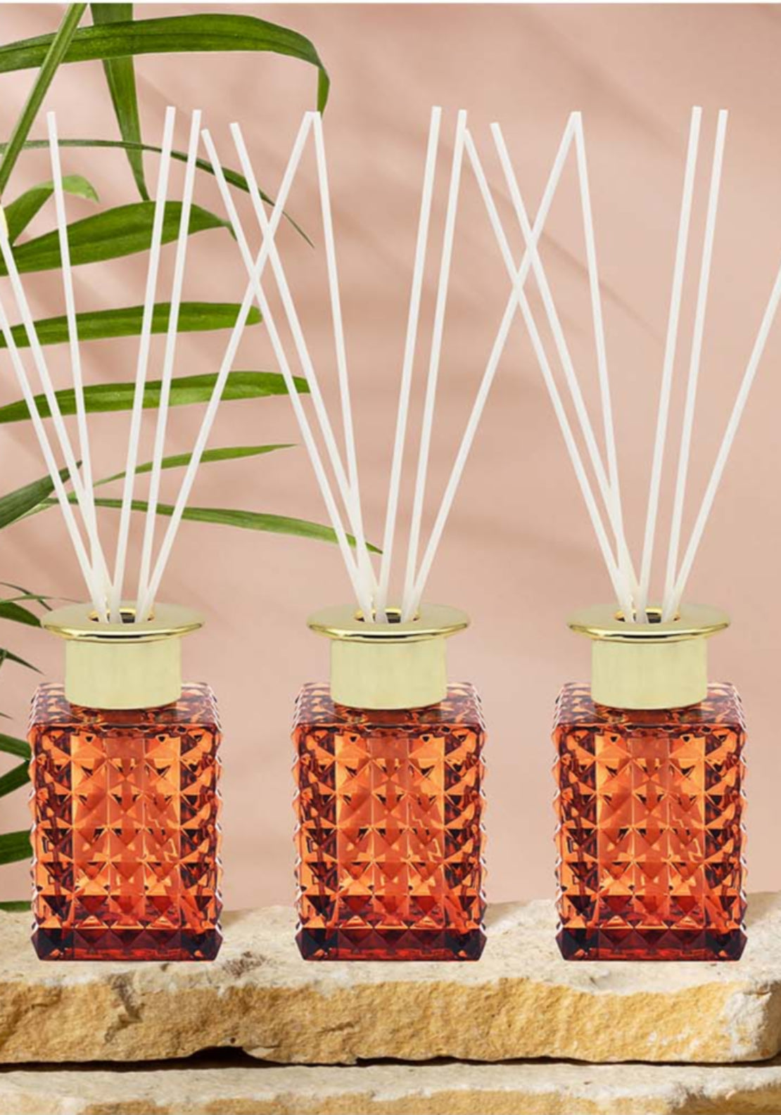 Lesser & Pavey Set Of Three Amber & Sandalwood Diffuser 1 Shaws Department Stores