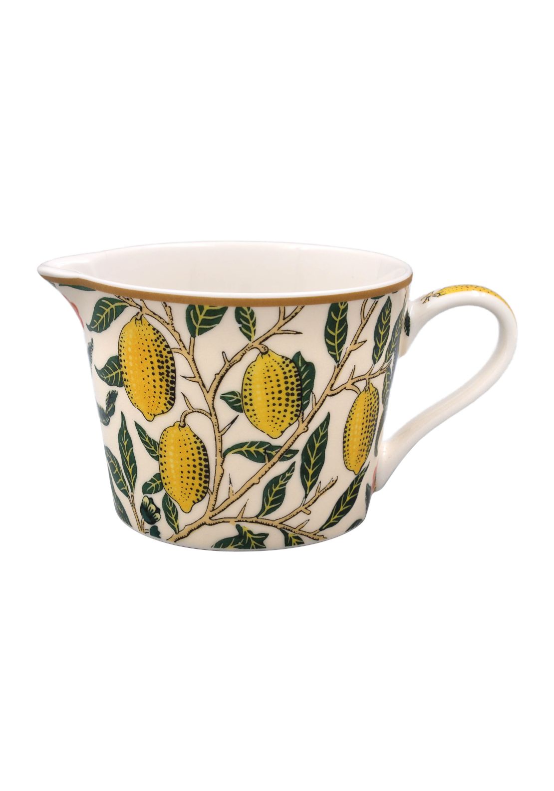 The Home Collection Fruits Jug 1 Shaws Department Stores