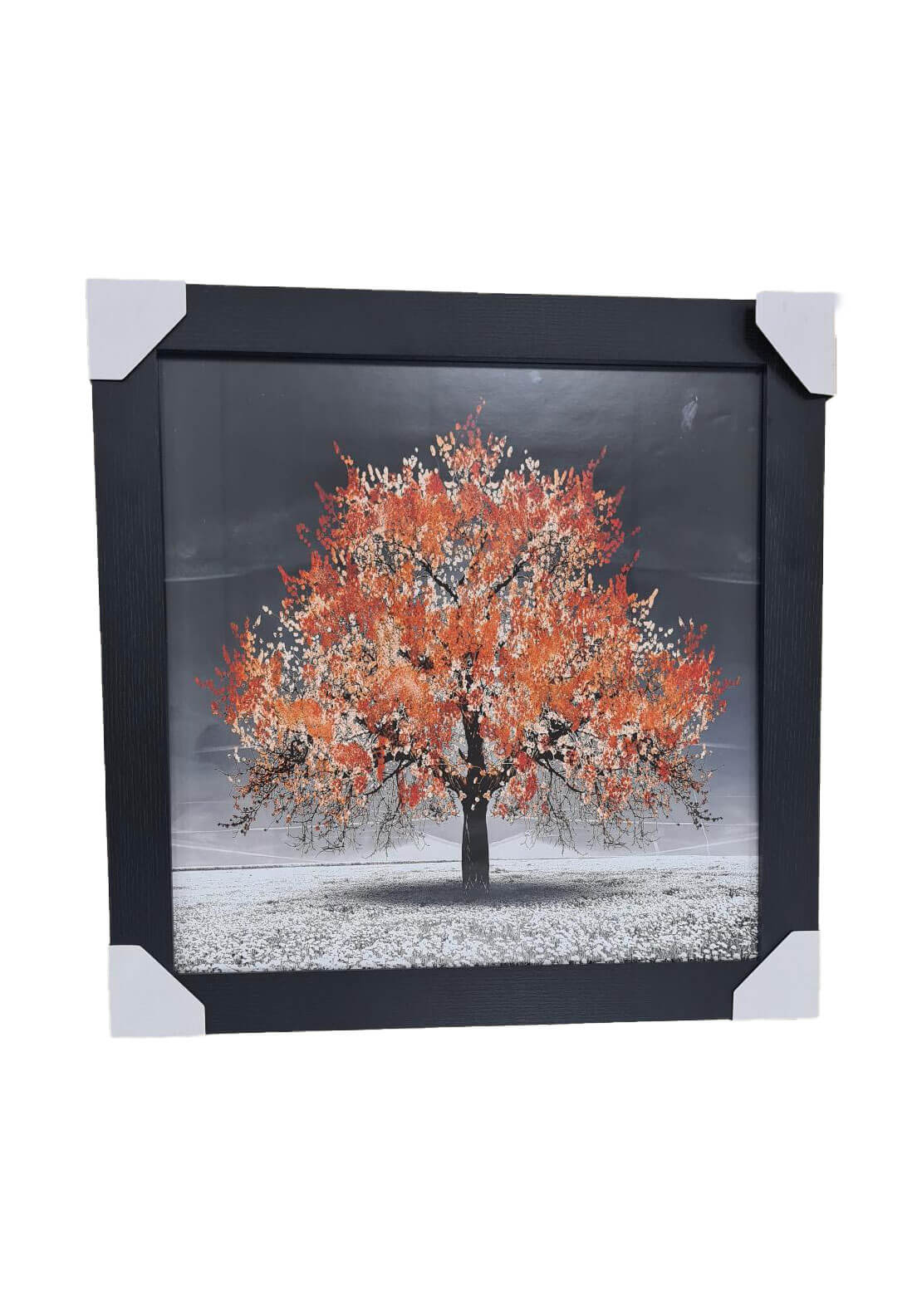 Kavanagh Orange Tree Wall Art 47cm x 47cm 1 Shaws Department Stores