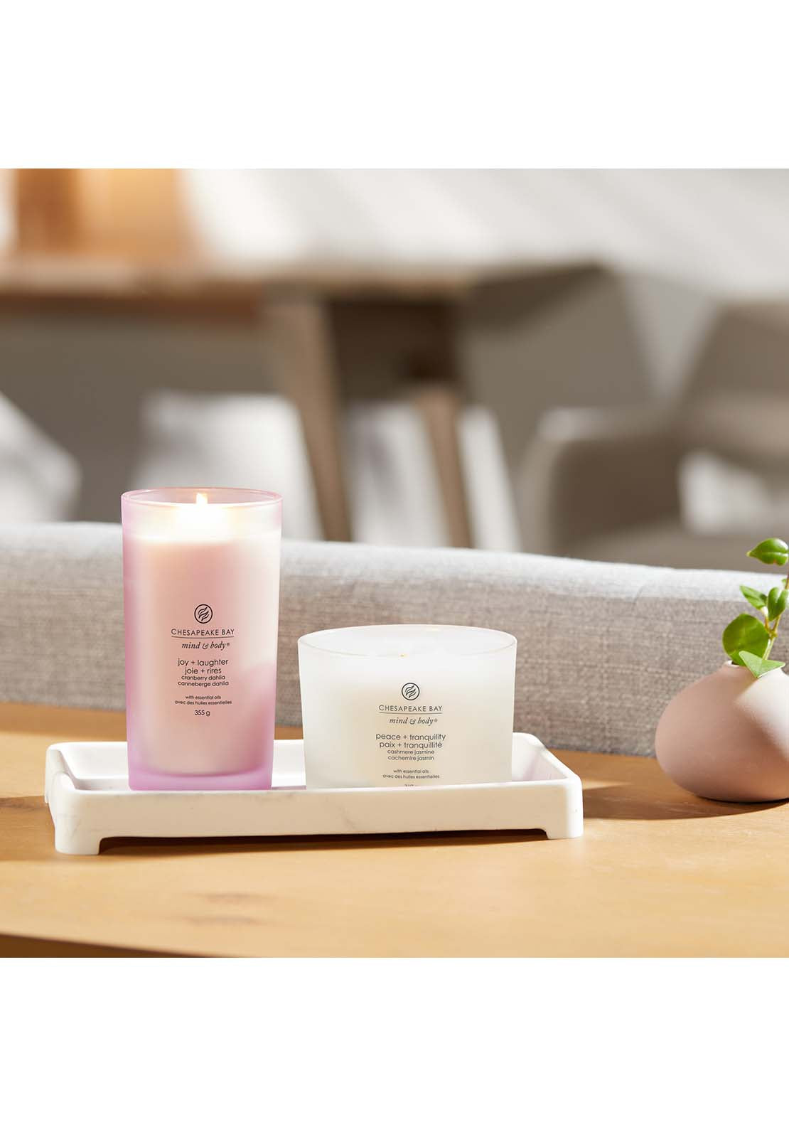 Chesapeake Bay Chesapeake Bay 3 Wick Peace & Tranquility 4 Shaws Department Stores