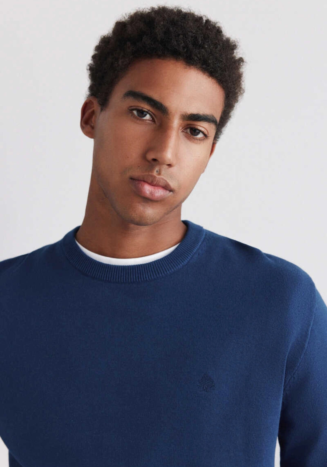Classic Crew Neck Basic Knit - Blue