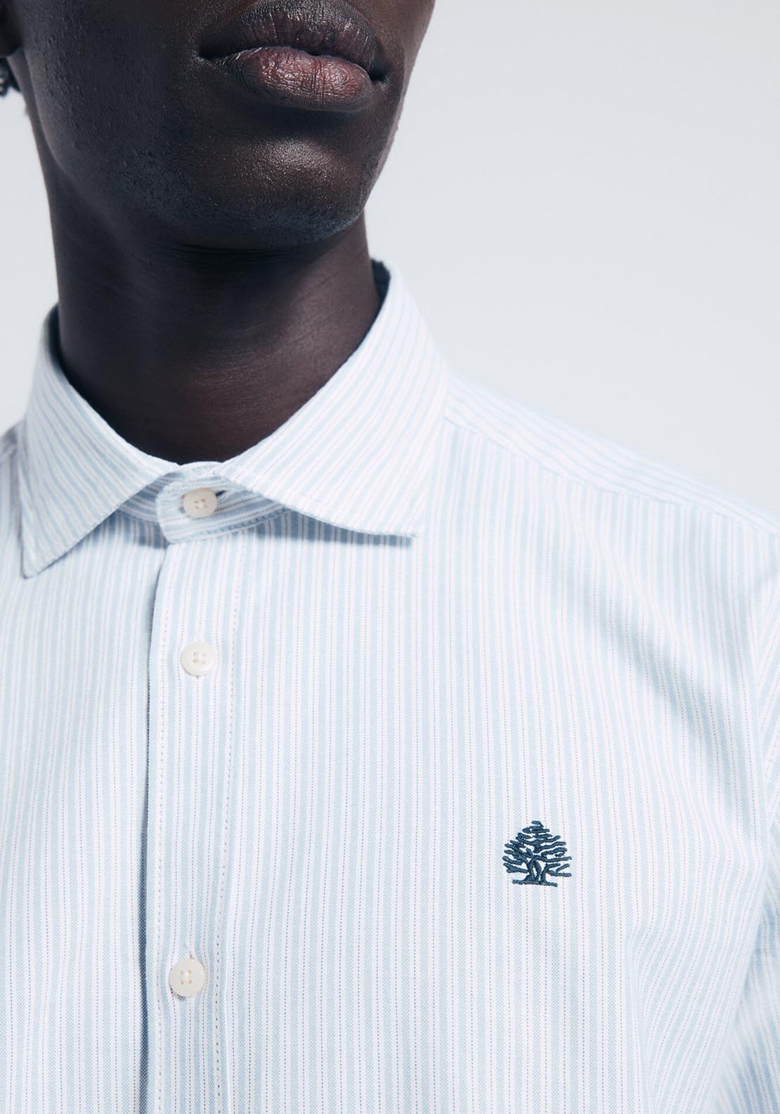 Striped Oxford Shirt - Blue