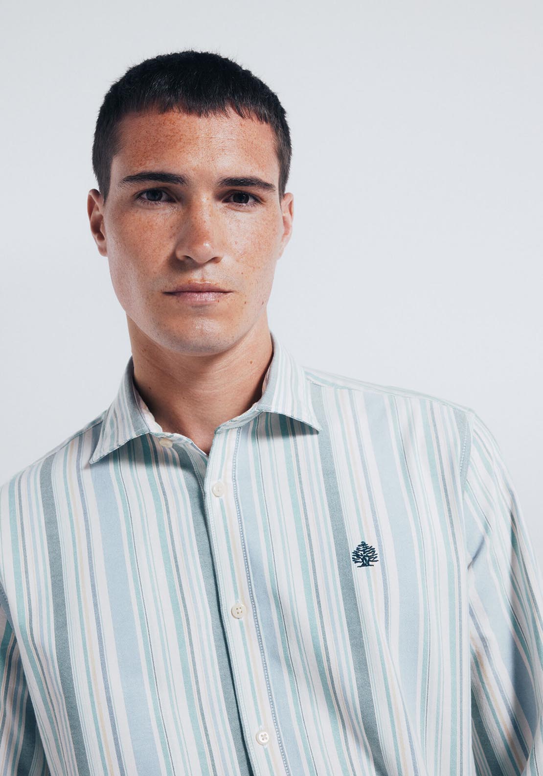 Striped Oxford Shirt - Green