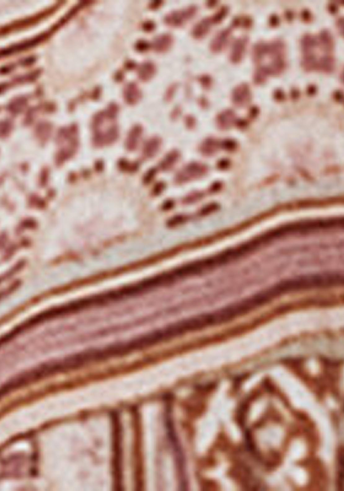 Printed Blouse - Purple