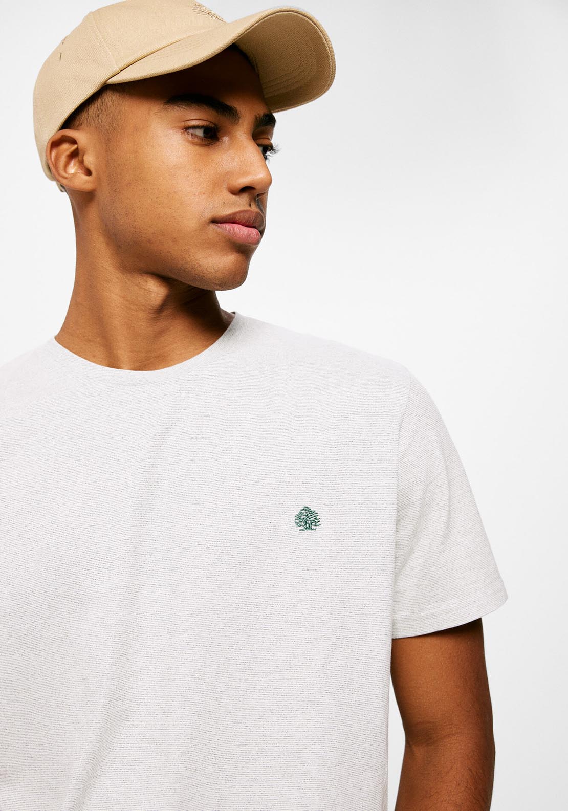 Springfield Short Sleeve Microstripe Tshirt - Green 4 Shaws Department Stores