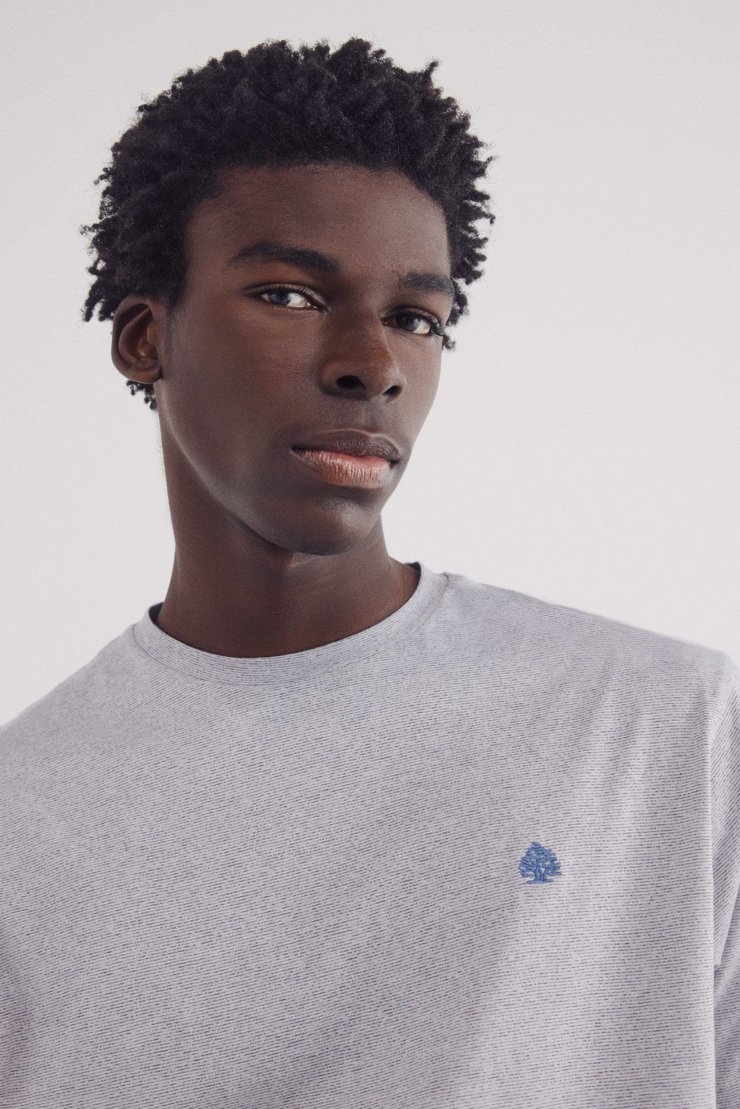 Springfield Micro-striped T-shirt - Blue 2 Shaws Department Stores