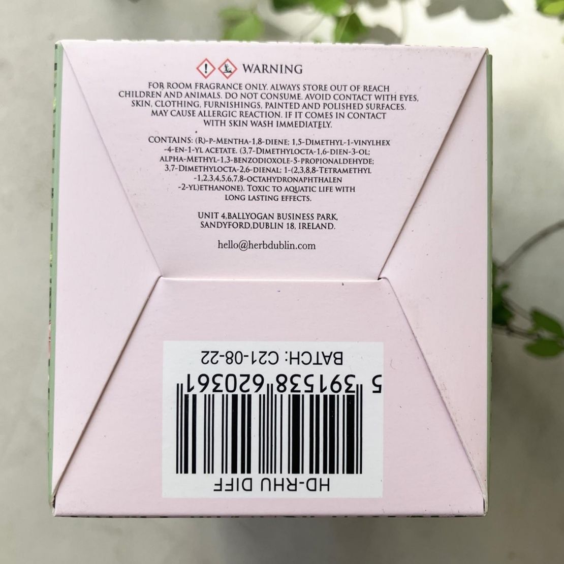 Herb Dublin Rhubarb Fresh Garden Mint Diffuser - Pink 2 Shaws Department Stores