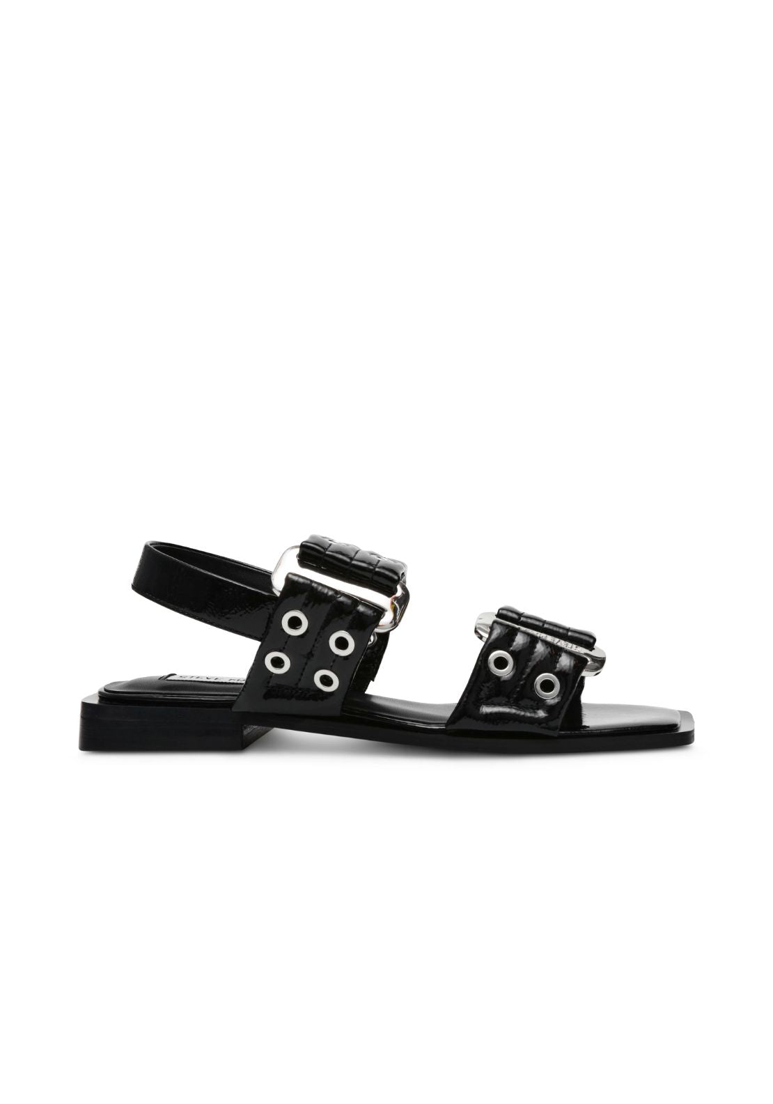 Steve Madden Buckle Stud Flat Sandal - Black 1 Shaws Department Stores
